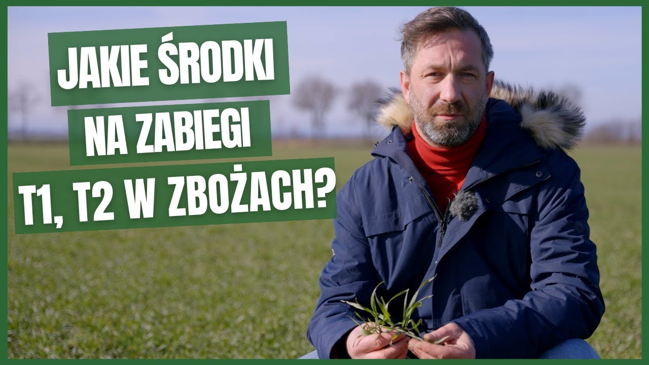 Do zabiegów T1 i T2 w zbożach wybierz mocne fungicydy