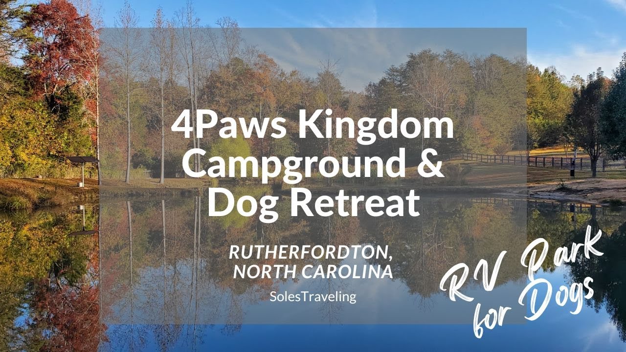 4 Paws Kingdom Campground & Dog Retreat | RV Park Tour | Rutherfordton, North Carolina