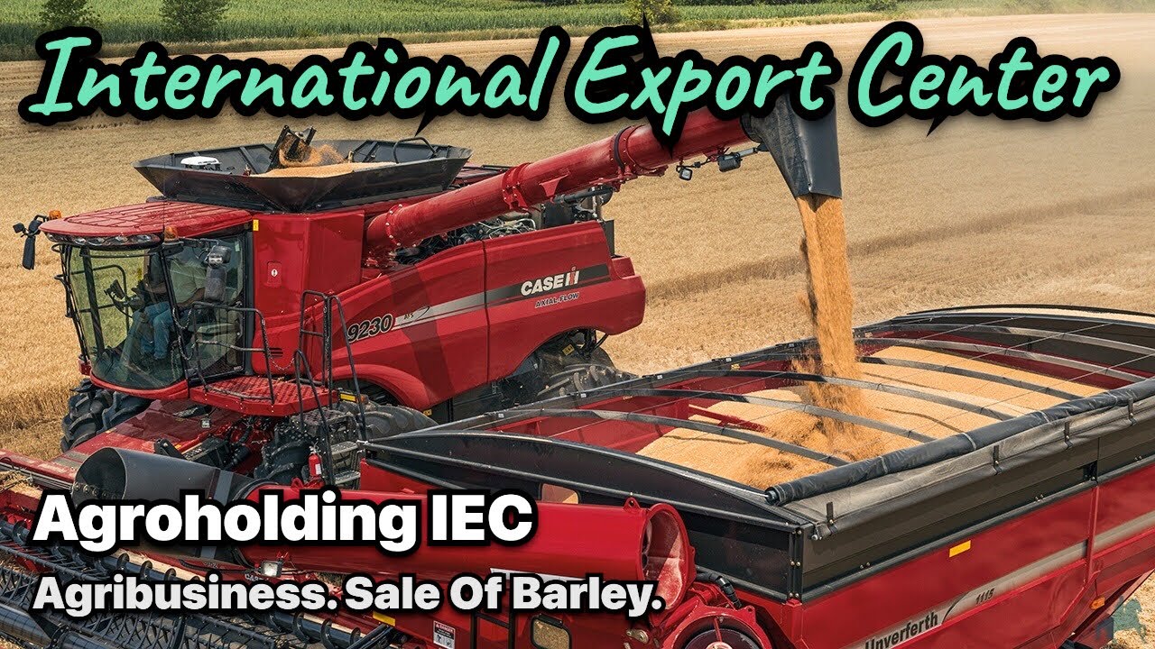 Agribusiness. Growing barley, making a profit from the sale. Agroholding IEC. Agricultural industry.