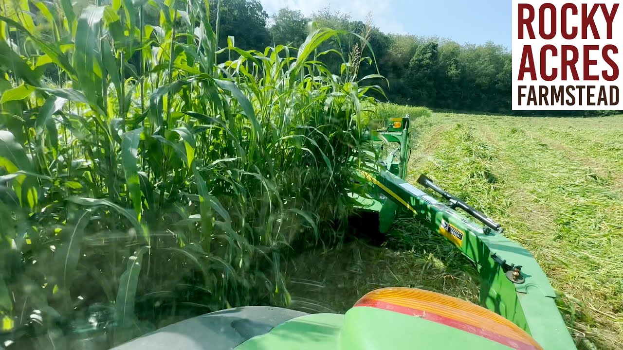 Mowing Sorghum Sudan And Second Cutting Hay! Hay Season 2023!