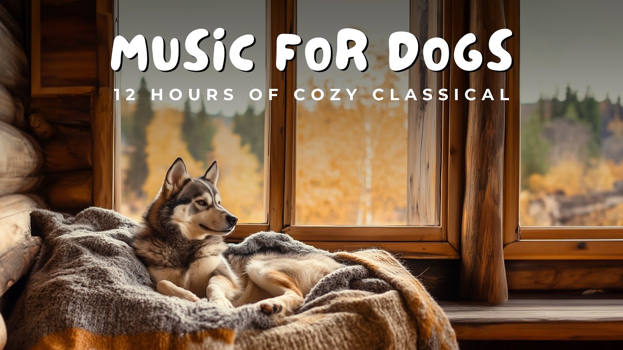 🏕️ 12 Hours of Peaceful Fall Cabin Ambiance for Dogs | 🍂 Cozy Autumn Relaxation & Calm