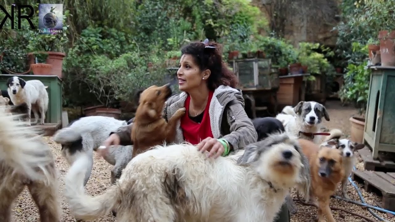 La ferme des rescapés, un refuge qui sauve la vie de milliers d'animaux