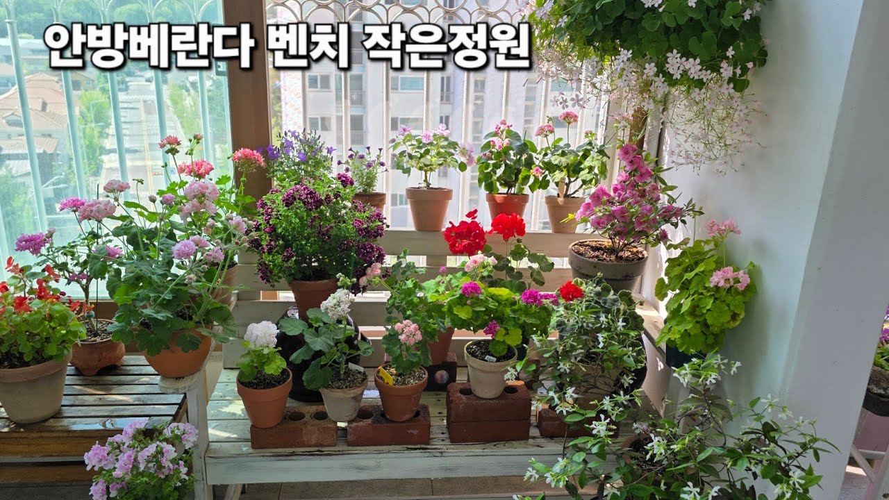 안방베란다 꽃인심 좋은 화초 작은정원