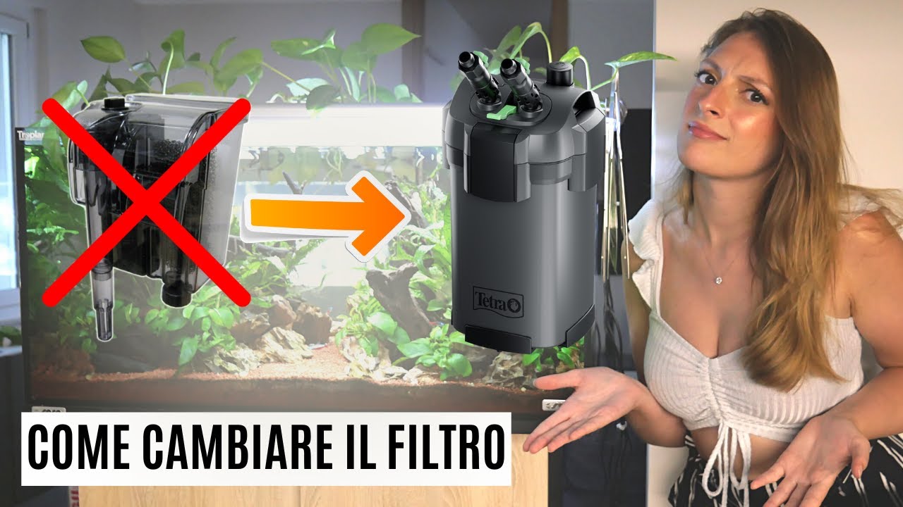 Come CAMBIARE IL FILTRO in un acquario avviato 🐠