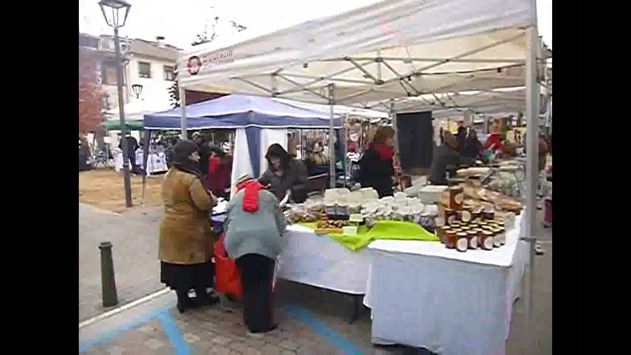VII FIRA D´ARTESANS I DE NADAL D´AIGUAFREDA 2013  Clip1