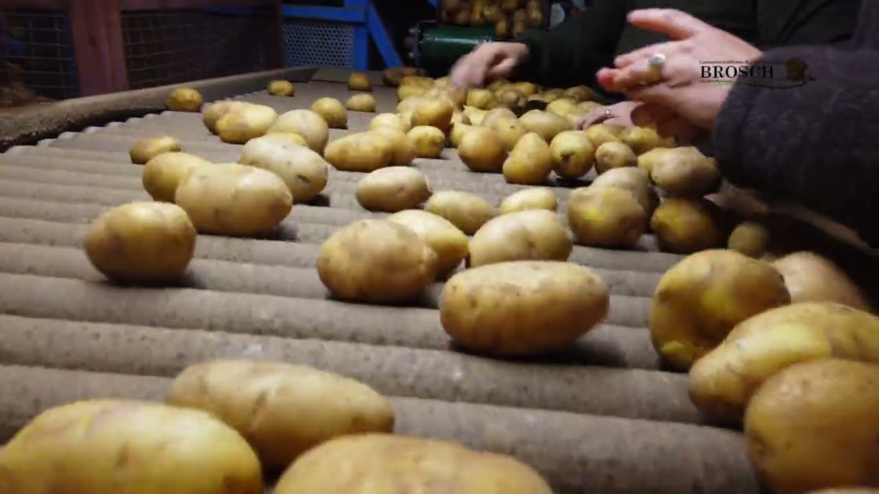 Landwirtschaftlicher Marktfruchtbetrieb Brosch / FREIE BAUERN