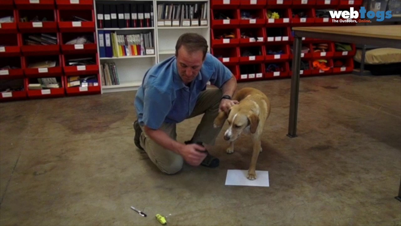 Ruffwear - How to measure Dog Paw Width for Grip Trex shoes