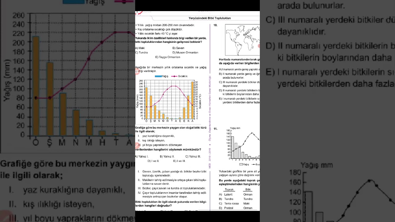 10.Sınıf MEB kazanım testi 12 ( Yeryüzündeki Bitki Toplulukları)