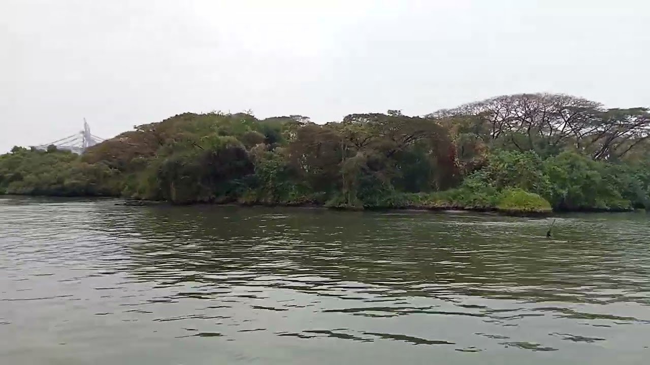 #kerala#vaibin#fub#oreyjolly#love#nature#river#