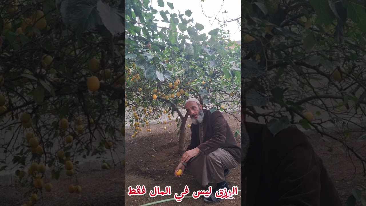 مقطع دعوي مجمع || انصح لك مشاهدته || ا . توفيق اسماعيل