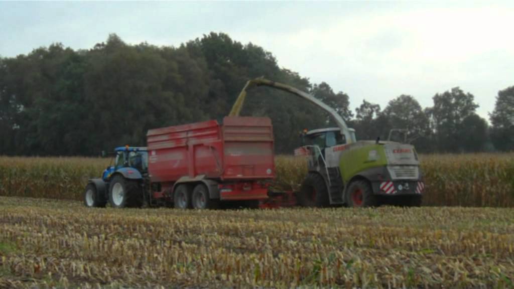 Mais häckseln mit LU Bunge