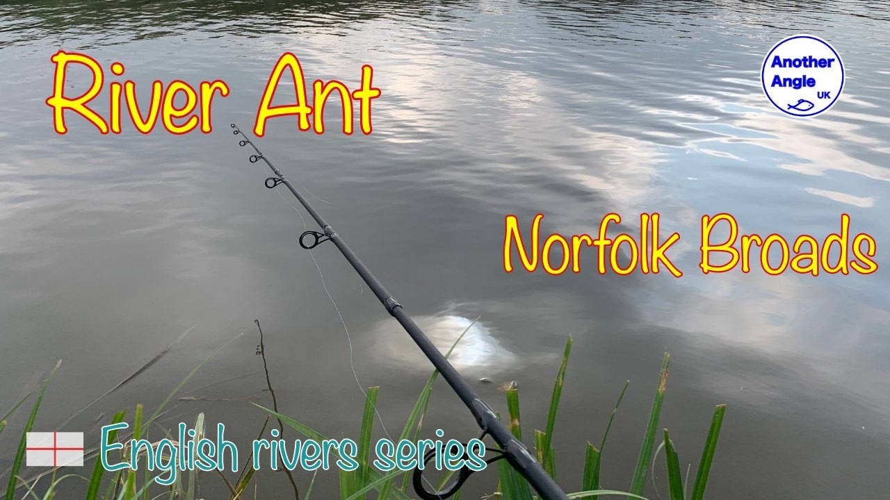 Gudgeon, My Favourite Little Fish : River Ant : Norfolk Broads : Easy Fishing