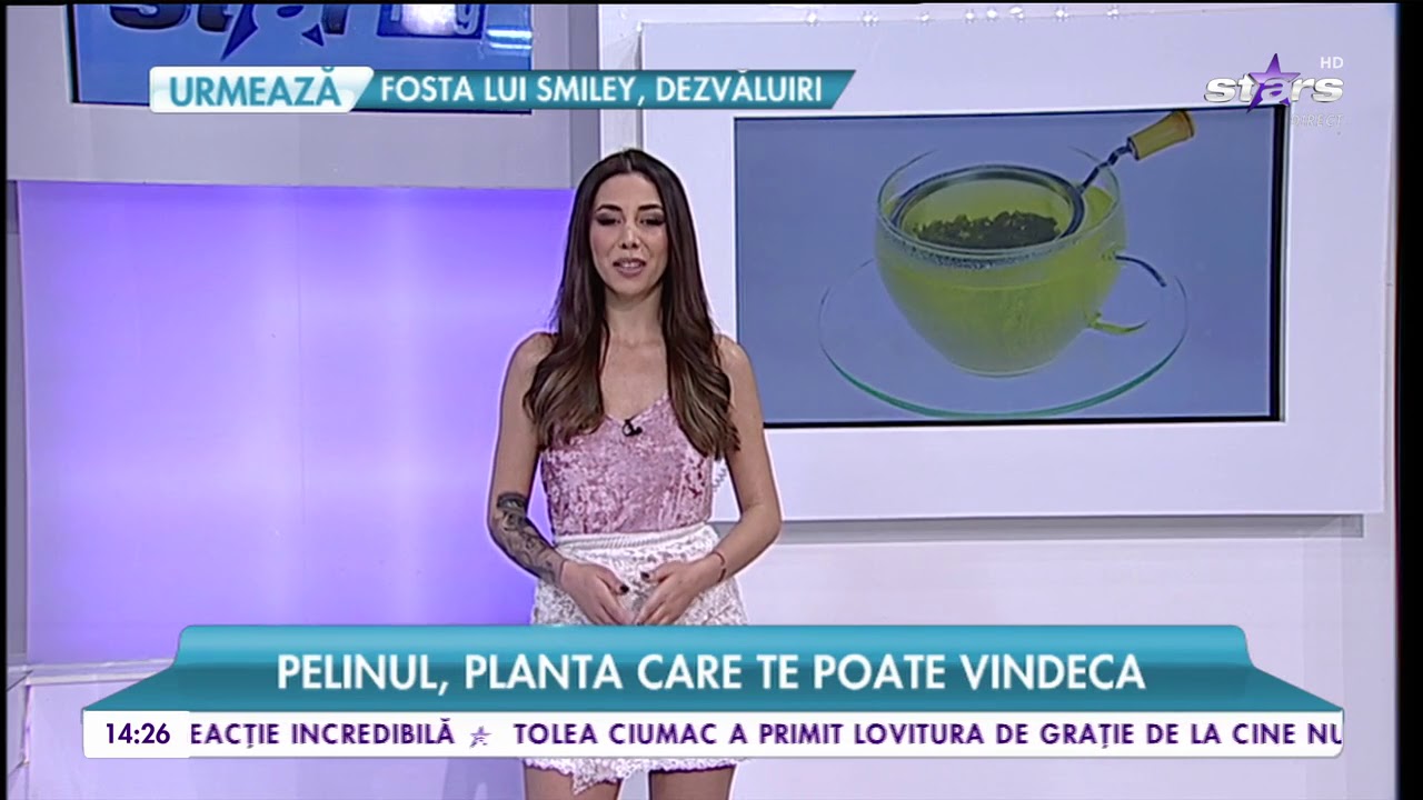 Pelinul, planta care te poate vindeca
