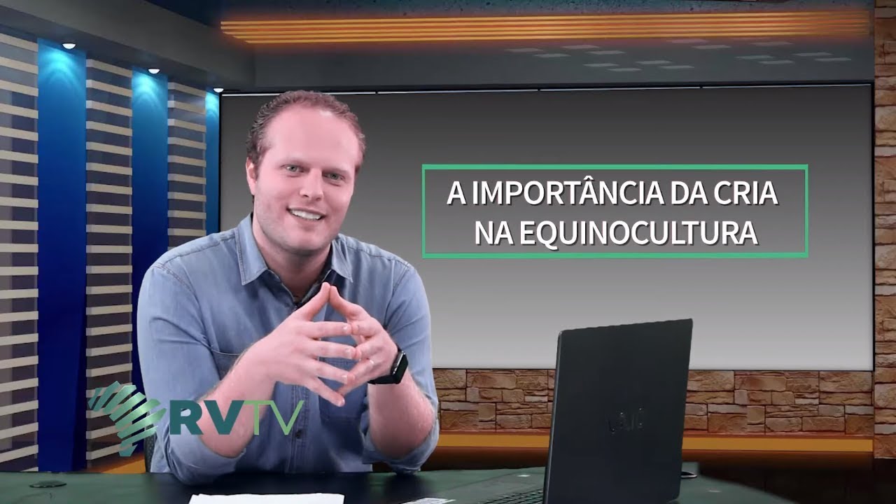 Qual a import&acirc;ncia da cria na equinocultura?
