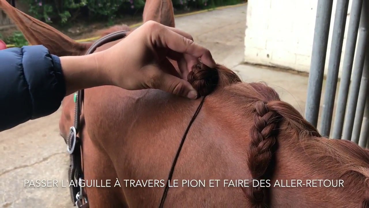 [ TUTO N&bull;1 ] Comment r&eacute;aliser des pions cousus ?  CCC Dressage - Equestrian Blog