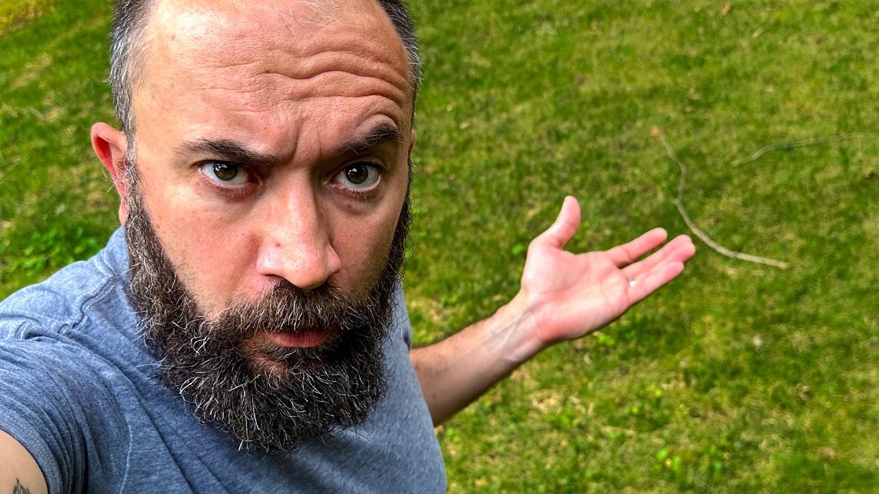 Grass Lawns Are Stupid (But I Get It)
