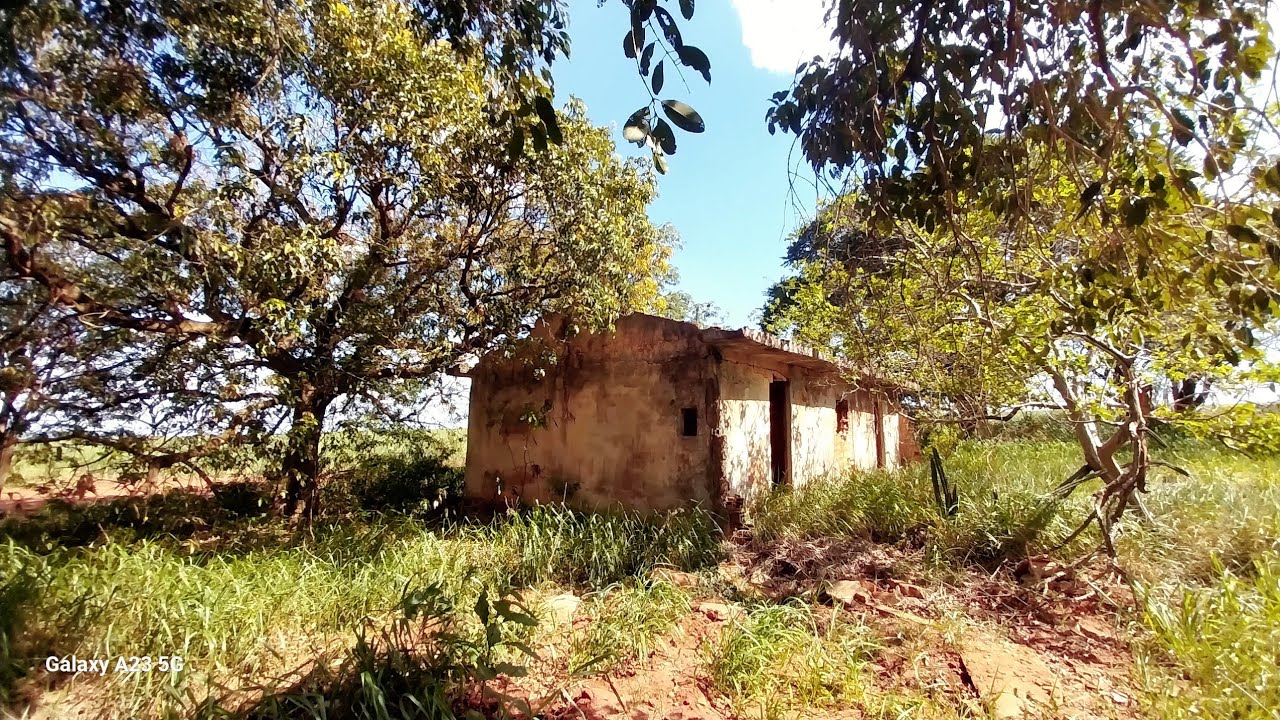 Triste história entre dois irmãos que vivia sempre junto