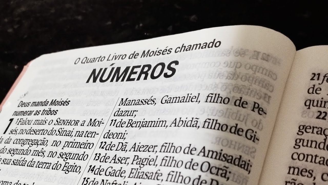 Leitura Anual da Bíblia: Números 5-6