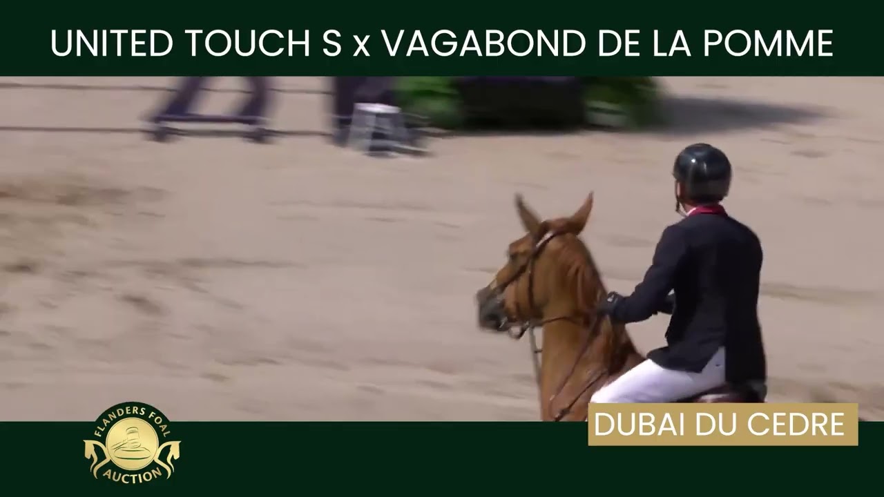 Embryo 1 United Touch S x Goodnight du Cedre