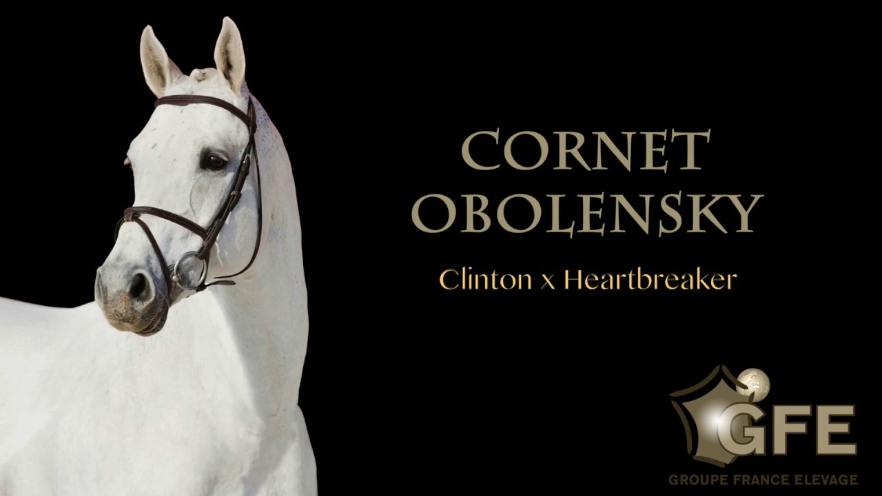 CORNET OBOLENSKY*GFE 2017