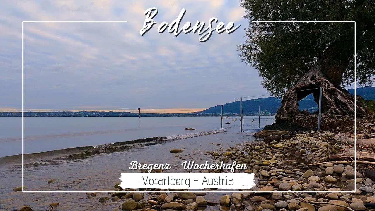 Bodensee: Morgenstimmung am Wocherhafen | Bregenz - Austria | 4K