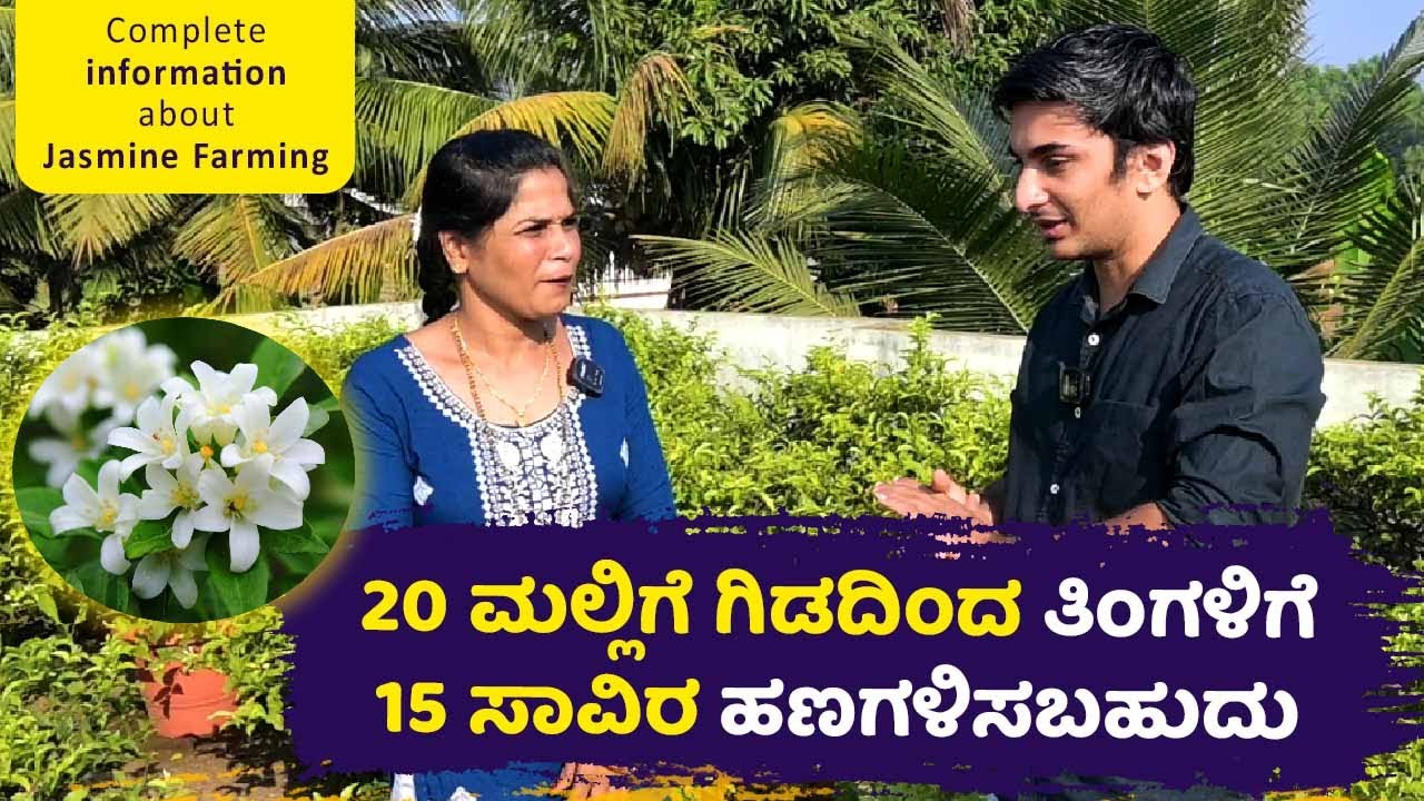 20 ಮಲ್ಲಿಗೆ ಗಿಡದಿಂದ ತಿಂಗಳಿಗೆ 15 ಸಾವಿರ | How to Grow Jasmine Plant Techniques | Sakath Business