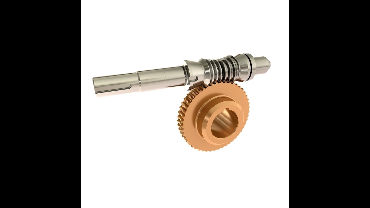 Cone Drive Double Enveloping Worm Gear