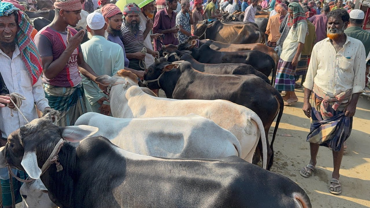 @আজ ৩ মে ২০২৫