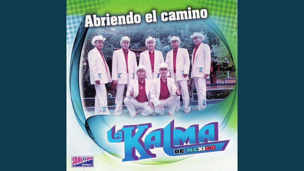 Si No Te Hubieras Ido