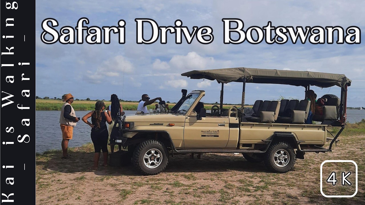 Safari Tour Botswana 4K