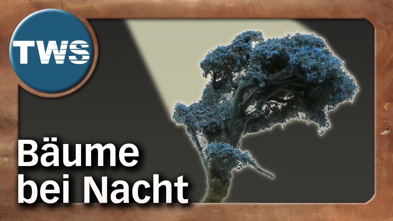 Tutorial: Bäume für Nacht-Settings basteln (DIY-Flock, Grim-Dark, Horror, Tabletop-Geländebau, TWS)
