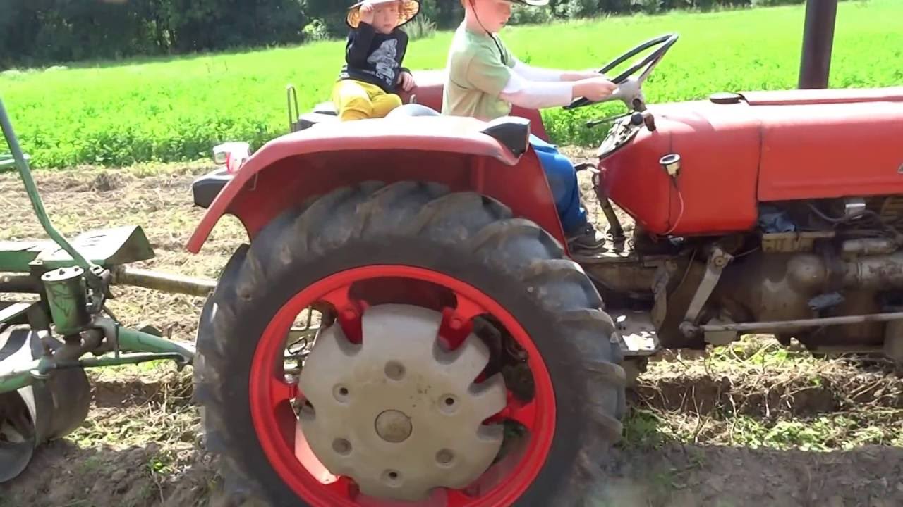 Kombajn na brambory Hagedorn Wisent