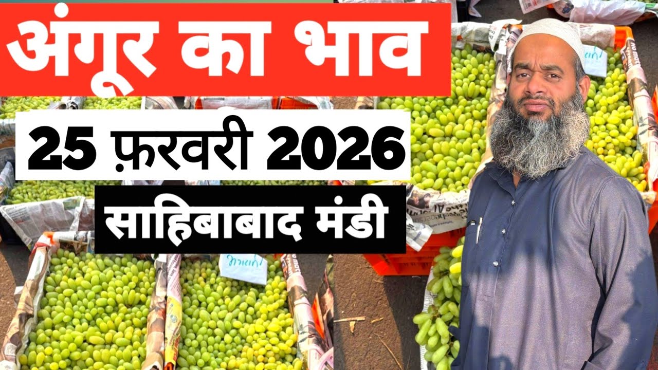 25 February 2026 🍇 अंगूर का भाव साहिबाबाद मंडी | today grapes rates in sahibabad mandi delhi NCR