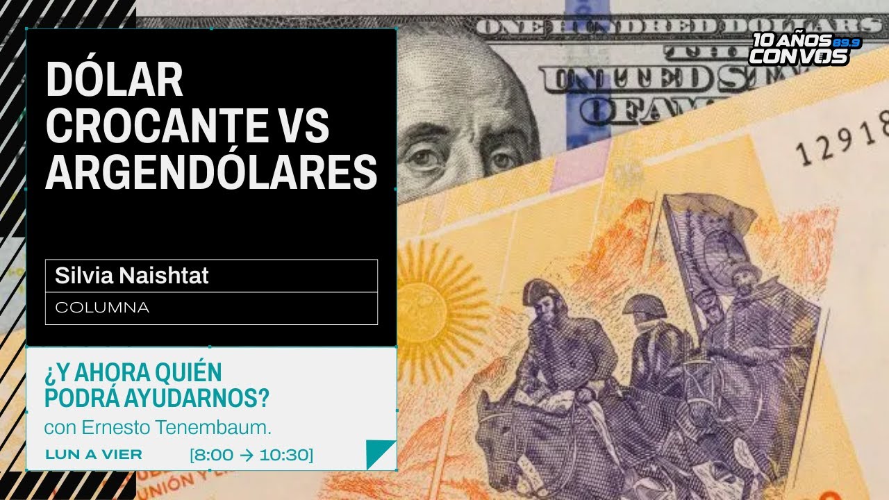 Silvia Naishtat, editora de economía de Clarin sobre la licitación que lanzó el Gobierno.