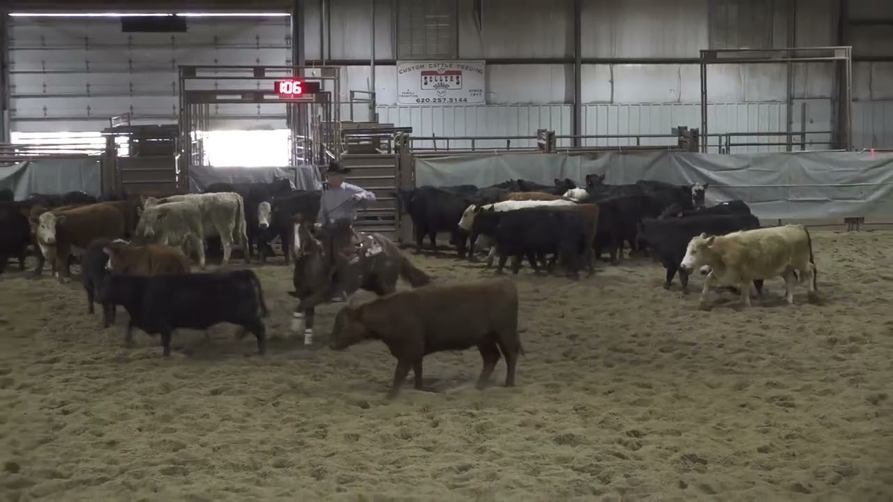 One Bad Jesse: 4-Year-Old Open at 2026 WSCHA March Show