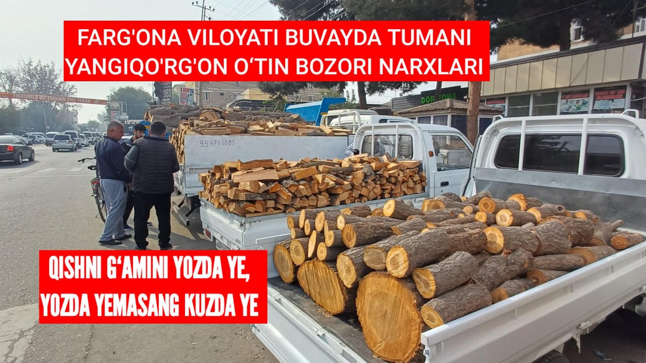 YANGIQO'RG'ON O‘TIN BOZORI NARXLARI. YONG‘OQ, BODOM, O‘RIK HAMMASIDAN BOR. 27.10.2025 💯🔥🫵👍🫡