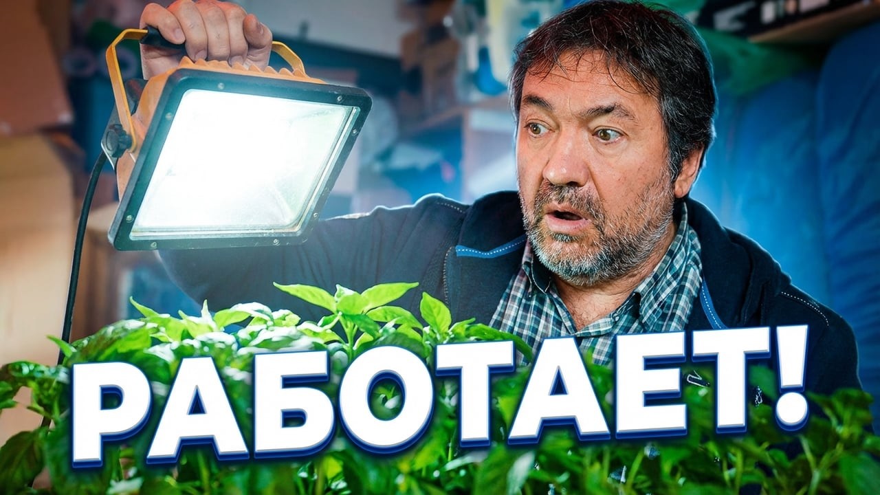 Фитолампы. Можно ли подсвечивать обычными лампами?