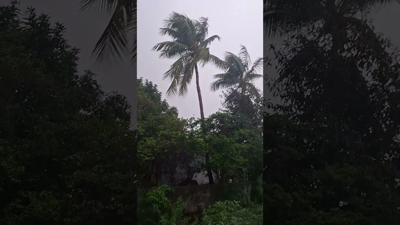 weather in warangal|| black sky|| heavy rain #rain #rainsounds #rainyday #rainbow