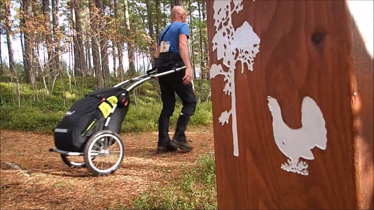 Scotland Cairngorms and Speyside Walk, with Wheelie Radical Design