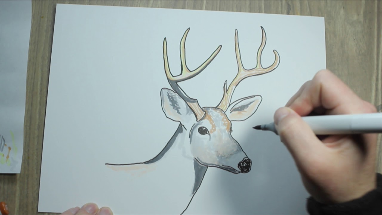 Drawing a Deer Head (with Deer Hunting Stories)