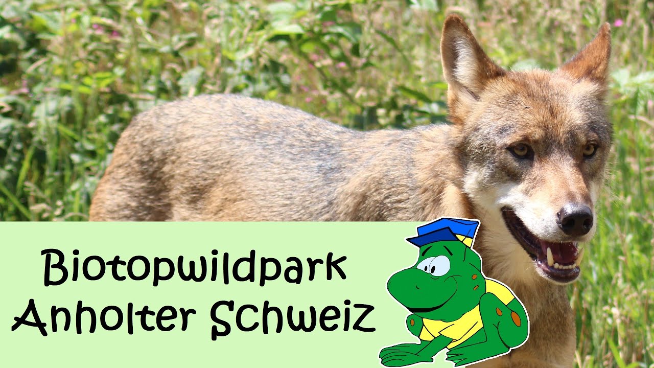 Biotopwildpark Anholter Schweiz (2020)
