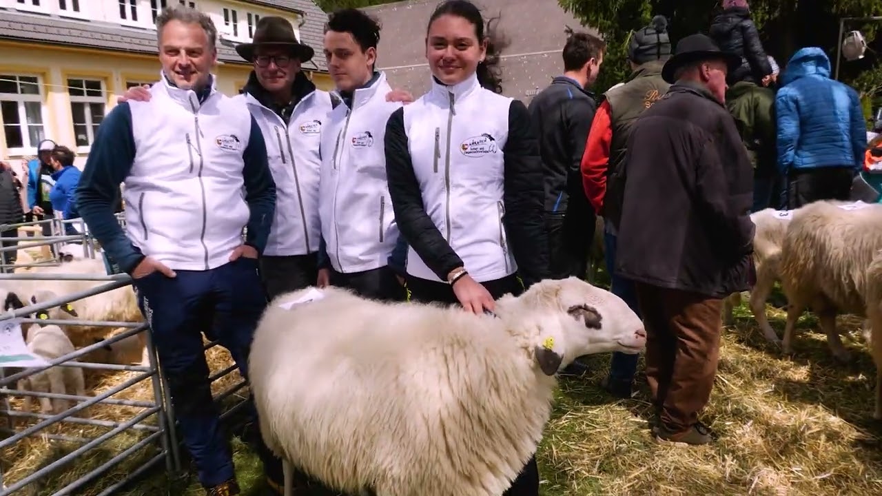 4. K&auml;rntner Brillenschafschau in Steirisch La&szlig;nitz