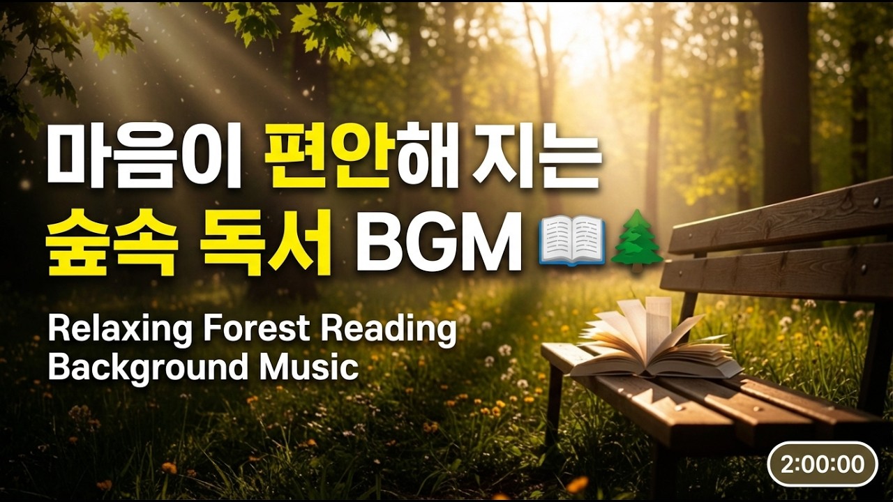 숲속에서 책 읽을 때 듣는 음악 🌿 마음이 편안해지는 자연 힐링 피아노