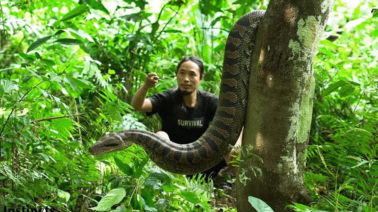 Poison Snake Attack Causes Horrible Accident | Rescue Team Provides Emergency Aid in Sumatra