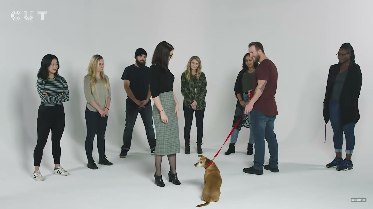 Match the Dog to Their Owner   Lineup   Cut