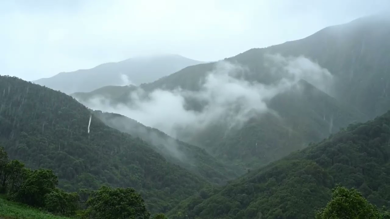 Rain & Fog in Green Mountains | Relax, Sleep, Study