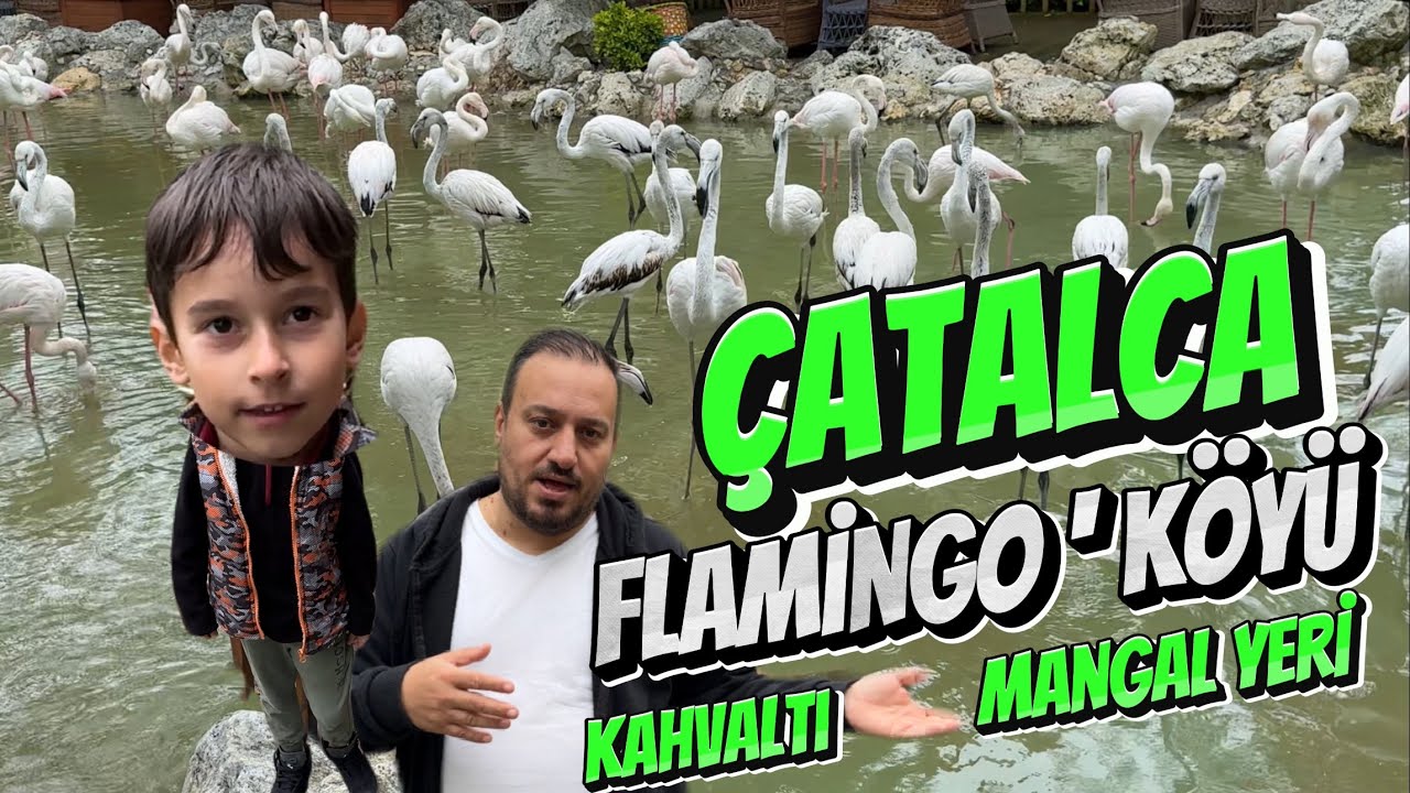 Flamingo köy🦩Çatalca ,Nasıl Gidilir,Fiyatları/Flamingoköy Bir Köyden Fazlası Kahvaltı ve Mangal Yeri