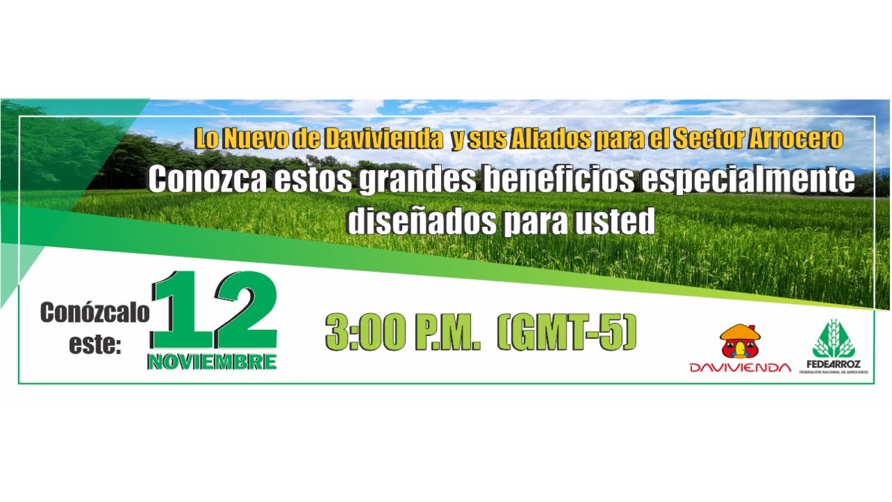CHARLA - Davivienda y sus aliados continúan apoyando al sector arrocero