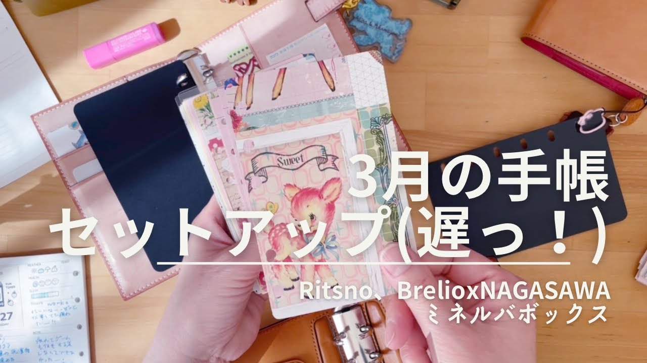 【3月のセットアップ】RITSNOとブレイリオのミネルバボックスのミニ6を入れ替え！