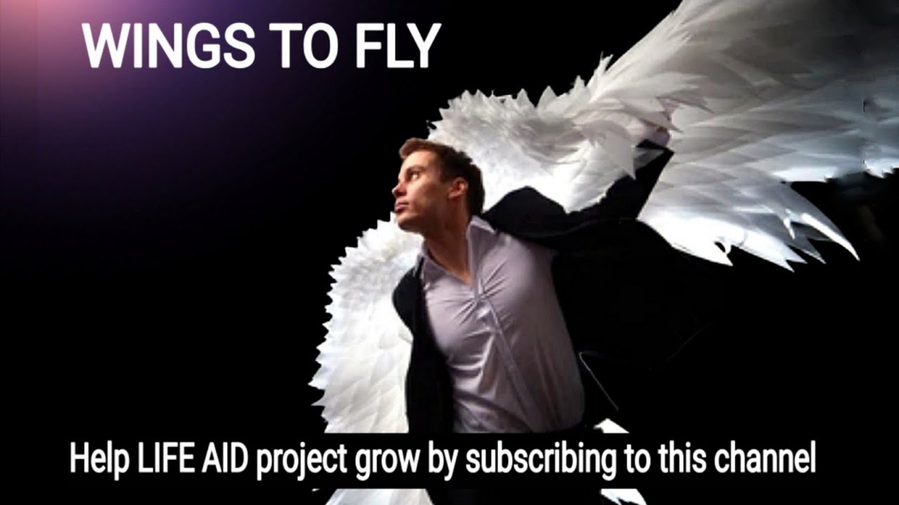 LIFE AID project  - 'Wings to Fly'